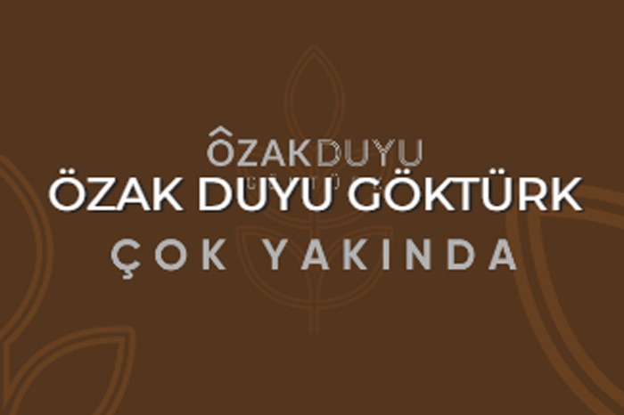 Özak Duyu Göktürk Göktürk / Eyüpsultan / İstanbul proje görünümü 1